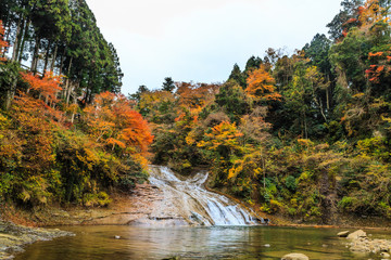 秋の養老渓谷の粟又の滝の風景