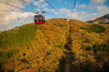 箱根 紅葉